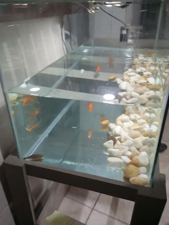 VENDO AQUARIO 150 LT - Foto 5