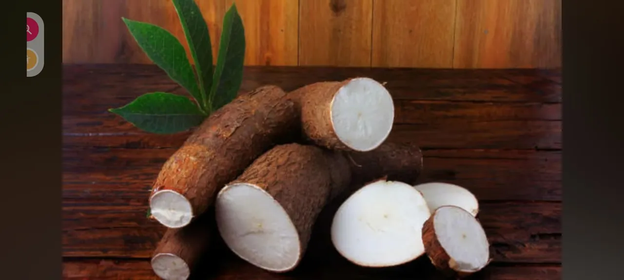 Mandioca Fresca e de Qualidade