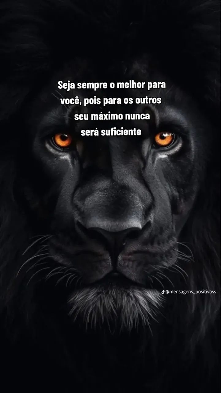 Programador profissional - Foto 3