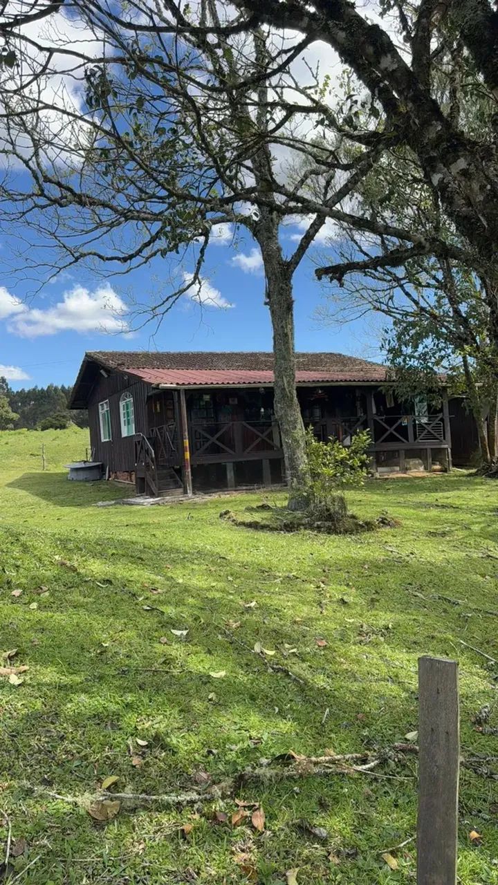 Sítio à Venda em Rancho Queimado  SC  Com riacho dentro da propriedade! - Foto 8