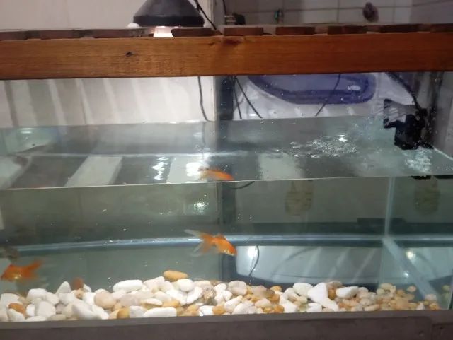 VENDO AQUARIO 150 LT - Foto 6