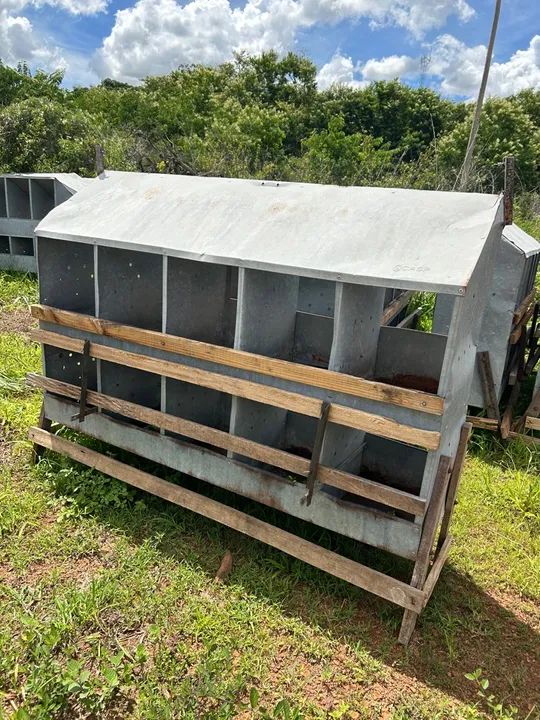 Ninho para Galinhas - 10 Divisórias