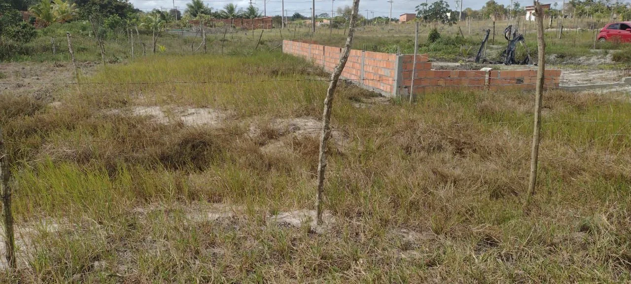 Terreno