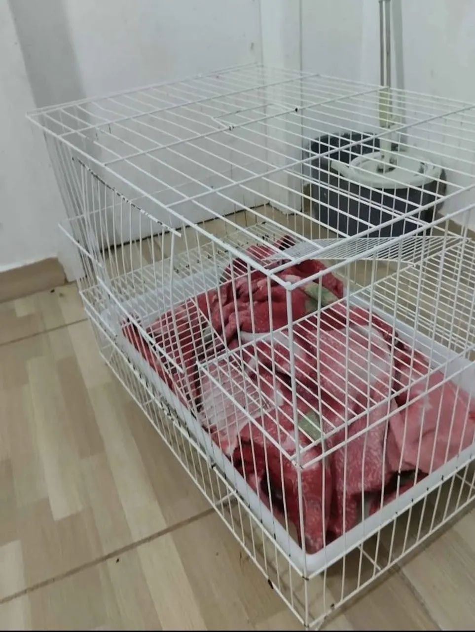 Gaiola para Roedores - Foto 2