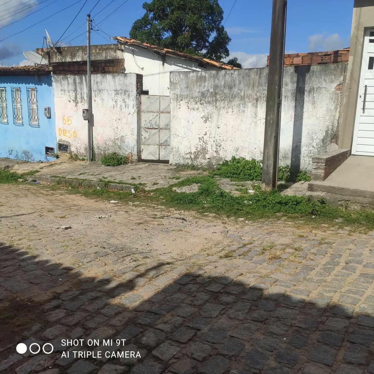 foto - Nossa Senhora do Socorro - Jardim