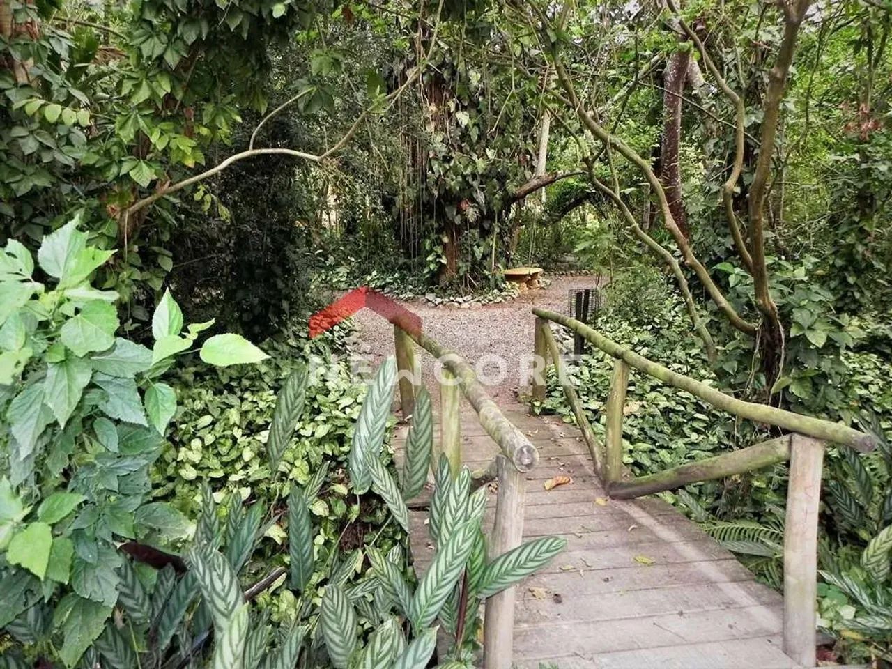 Lote em condomínio em Avenida Cote D'Azur - Granja Viana - Cotia/SP - Foto 9