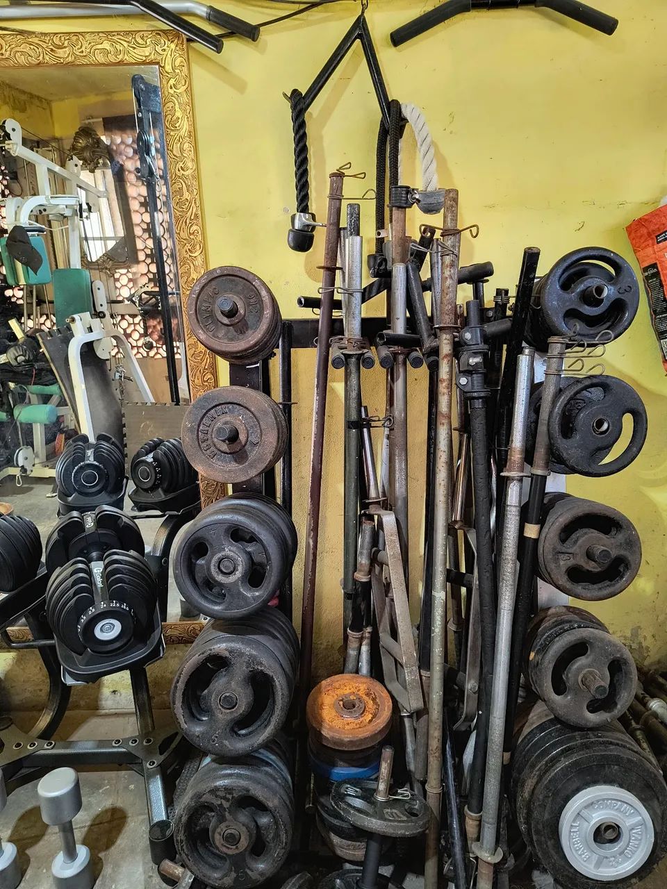 Anilhas e barras 64310164337281123