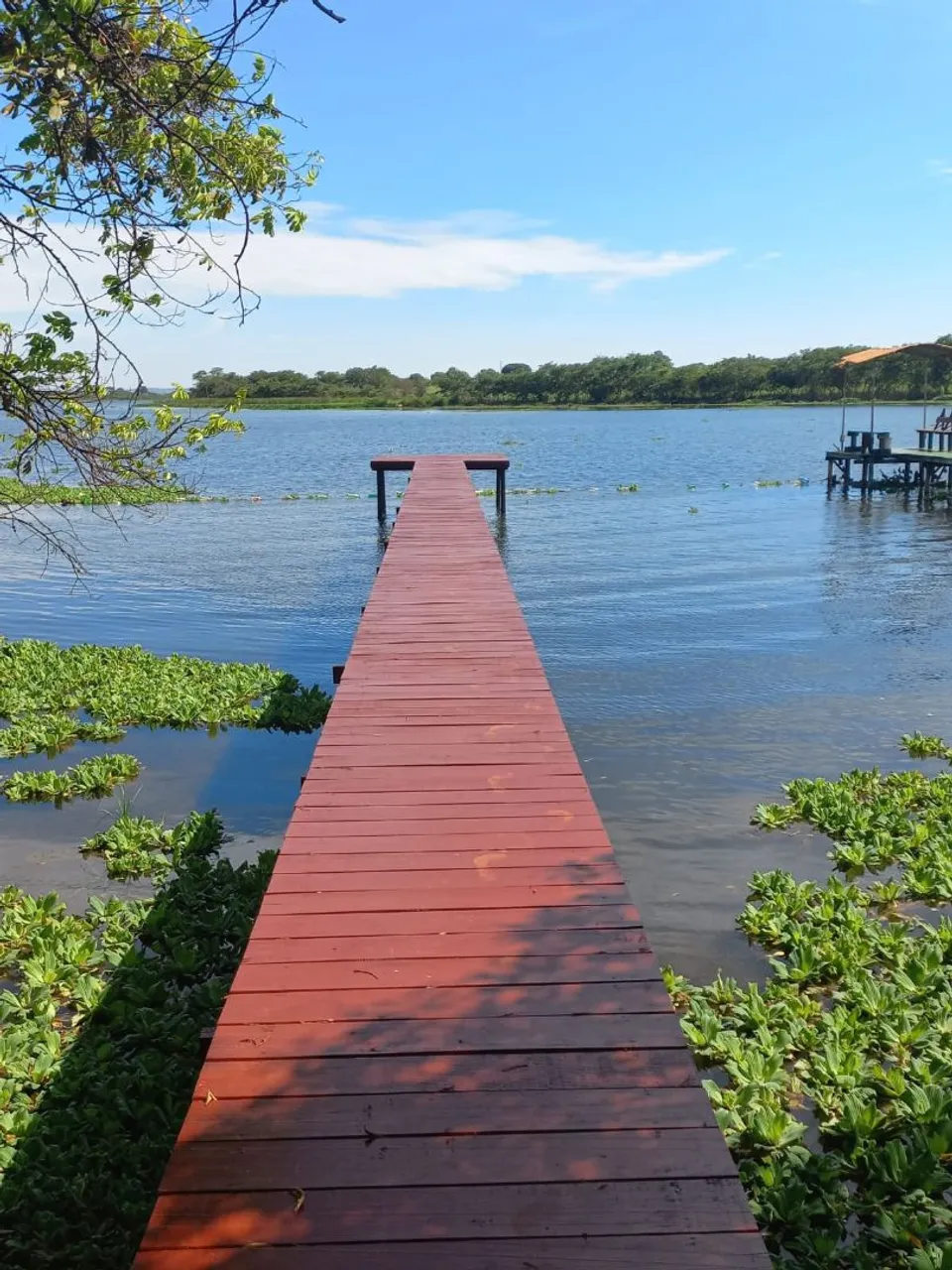 Vende-se Rancho em Miguelópolis