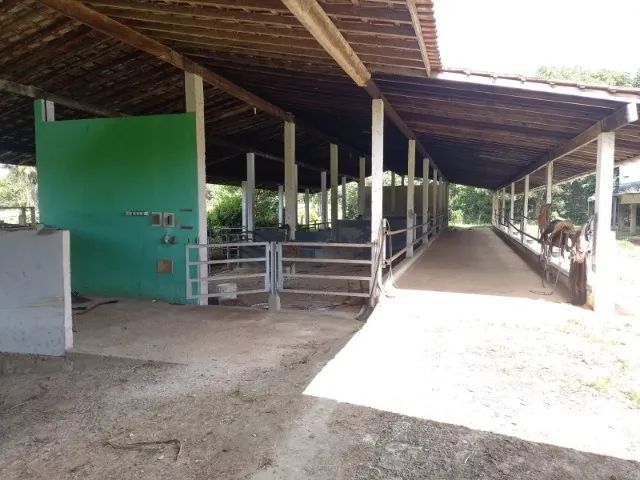 FAZENDA EM CAMAMU - 715 HECTARES - Foto 2