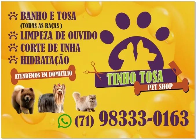 Tosa e banho em domicílio