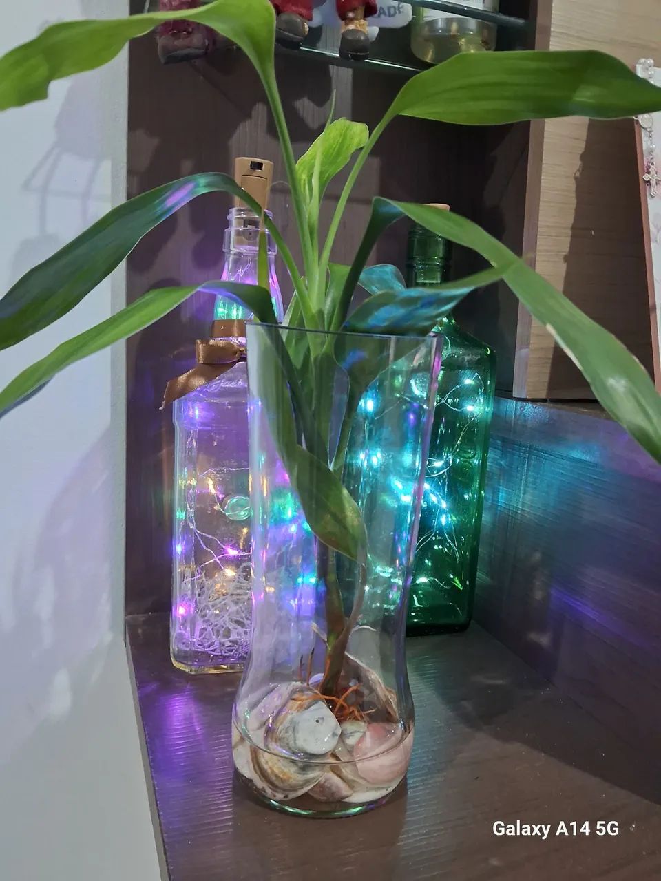 Mudas de Plantas - Foto 3