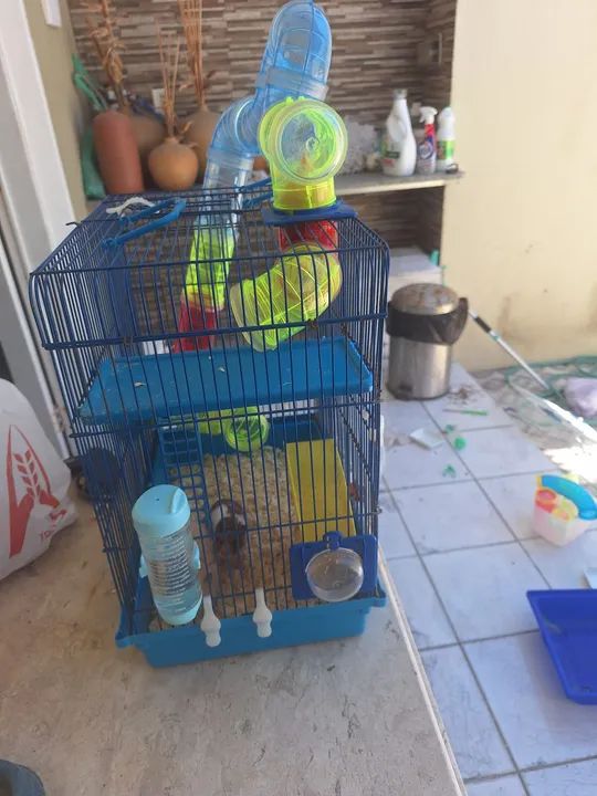 Vendo gaiola com 03 Hamster - Foto 2