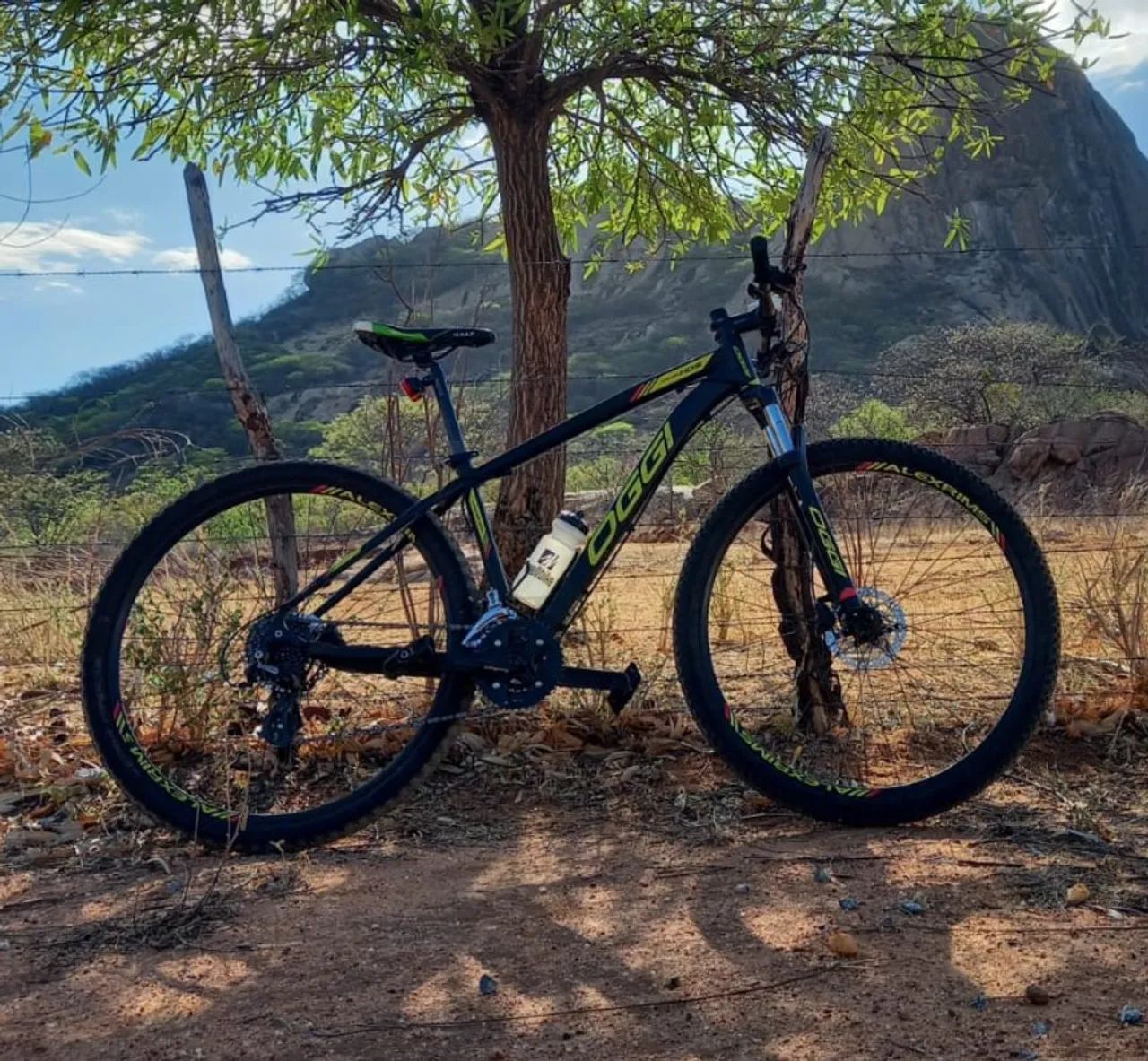 Bicicleta oggi aro 29