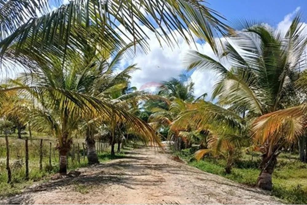 Chácara em Piaçabuçu a venda - Foto 3