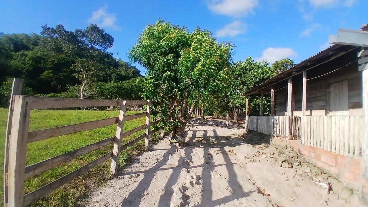 SÍTIO AS MARGENS DO RIO TAPAJÓS ( ARICORÉ) - Foto 2