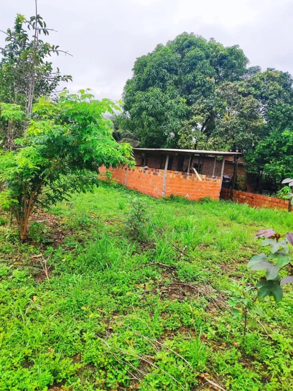 Terreno com 2 casas medindo 620m2 - Foto 4