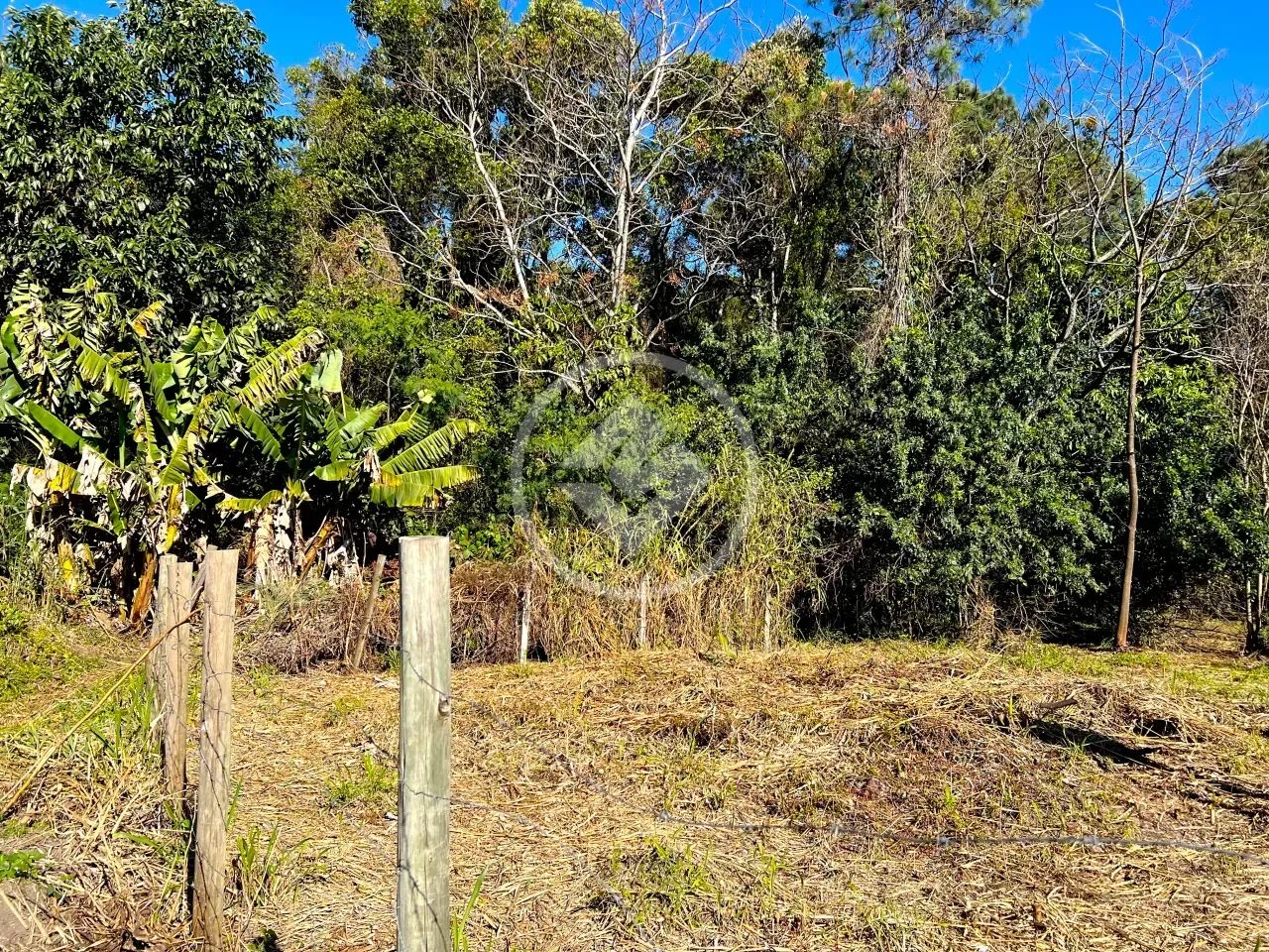 Terreno no Campeche Central - Foto 3