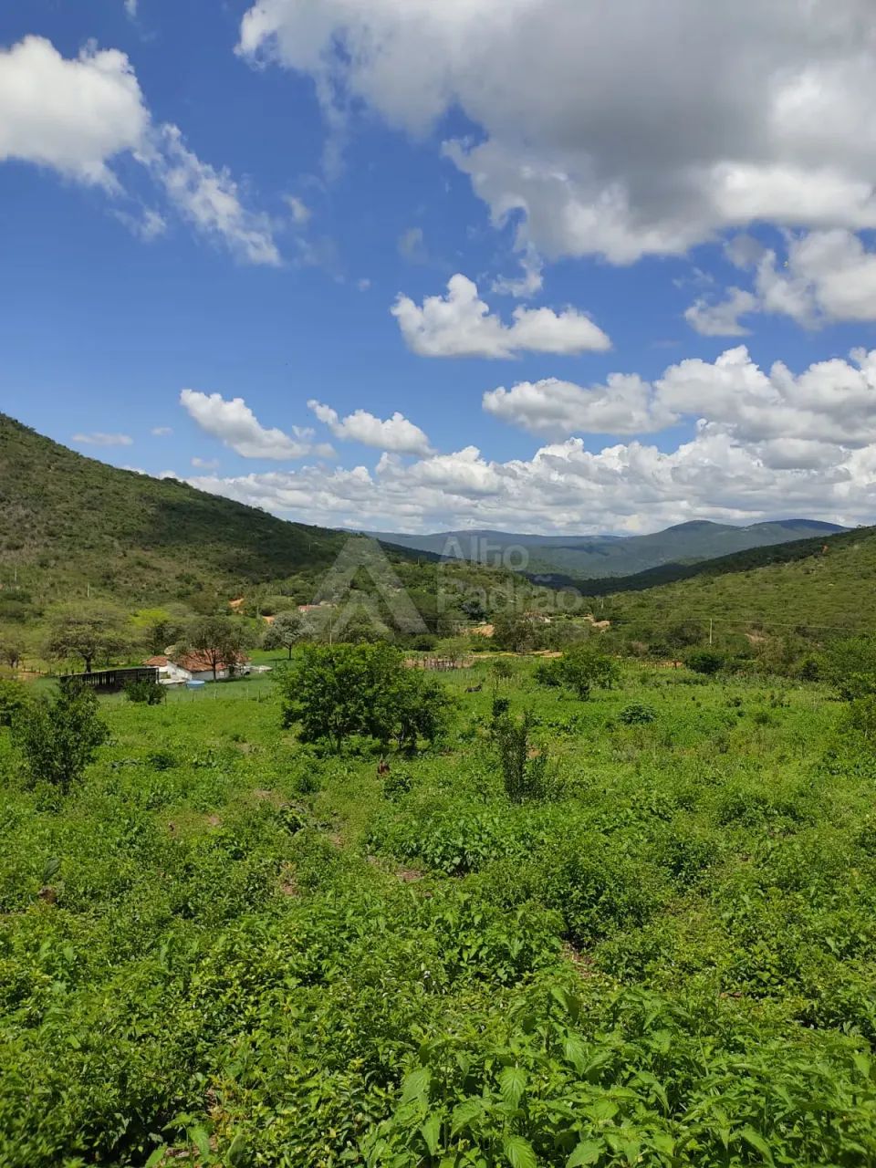 F. COM 580 HECTARES!!! NA BA