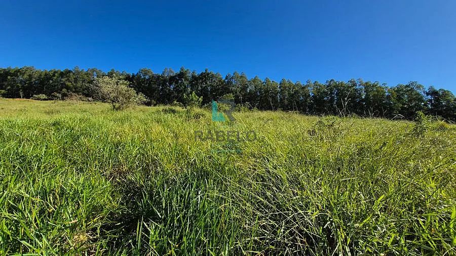 TERRENO PARA FORMAR CHÁCARA EM CANAS-SP - Foto 5