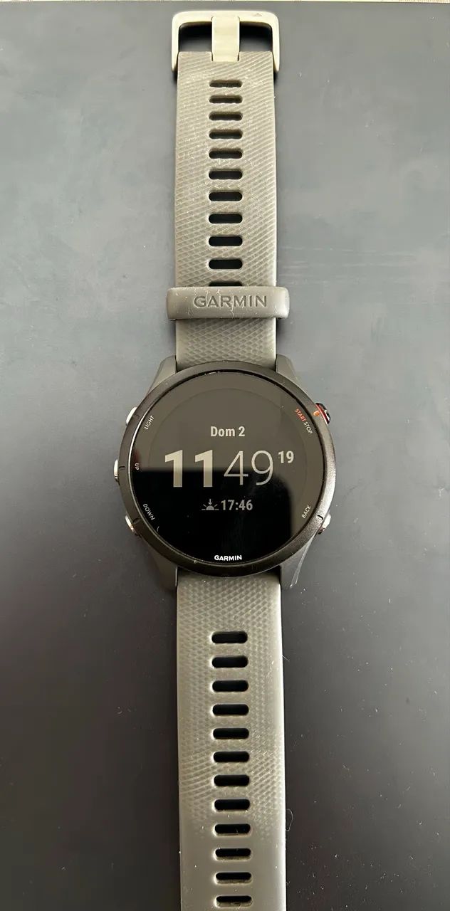 Garmin 255