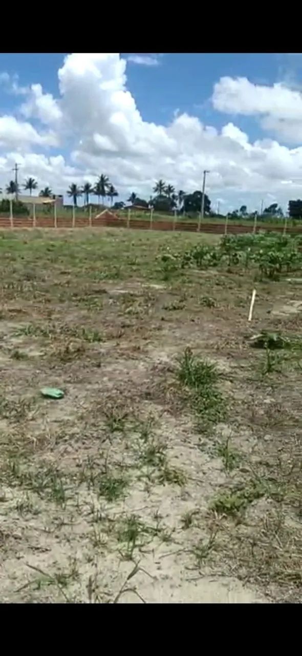 Terreno 50x30 salgado - Foto 3