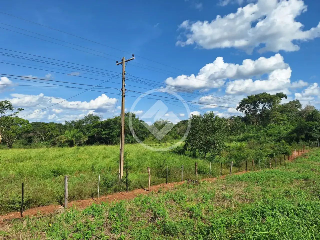 Sítio 20 ha ao lado da cidade- Ideal para Loteamento codigo: 324262 - Foto 4