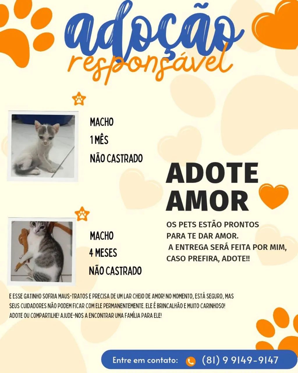 Doação de gato
