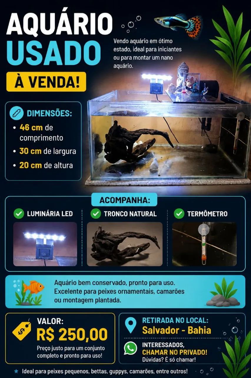 Aquário em bom estado, ideal para peixes ornamentais, bettas ou montagem de nano aquário