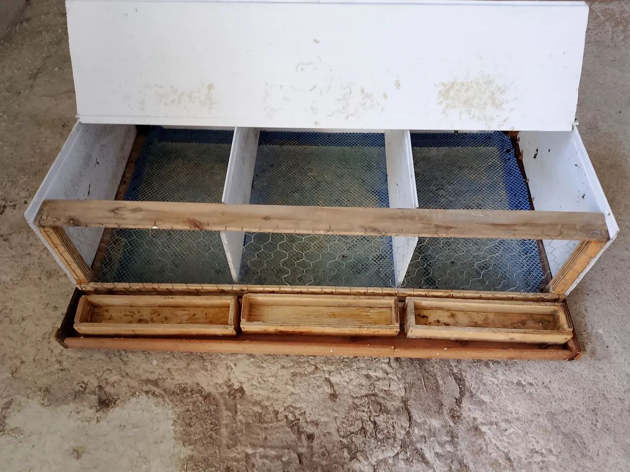 Gaiola para codorna chinesa e gaiola para calopsita - Foto 4