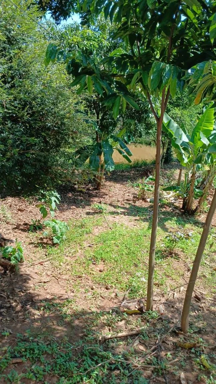 Foto - Pindamonhangaba - Jardim Eloyna
