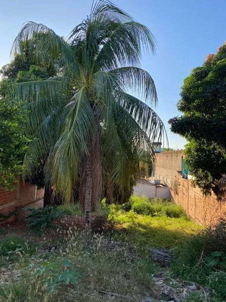 Terreno à venda 750M², Baú, Cuiabá - MT - Foto 2