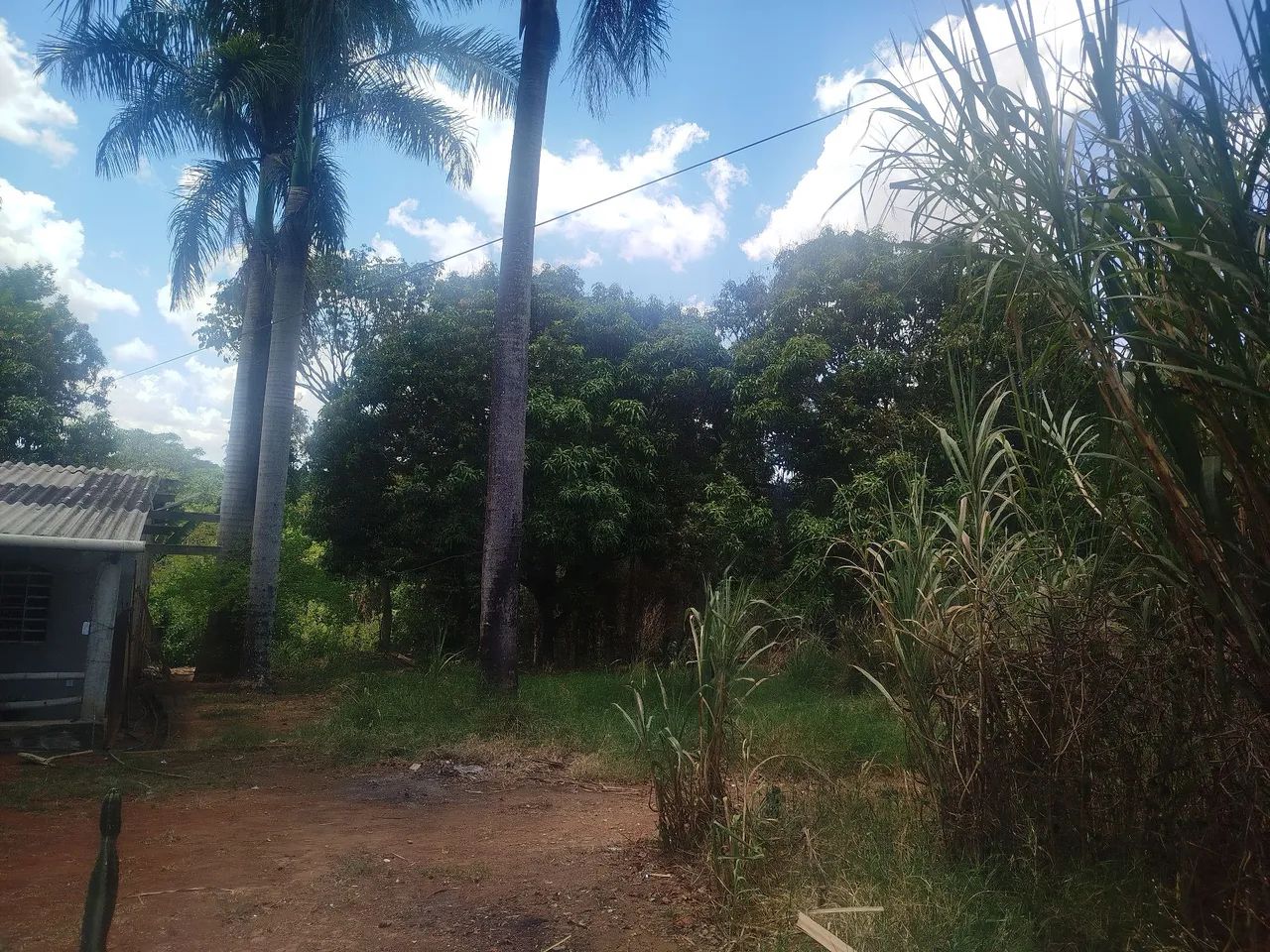 Vende se chácara em Luziânia Goiás  - Foto 2