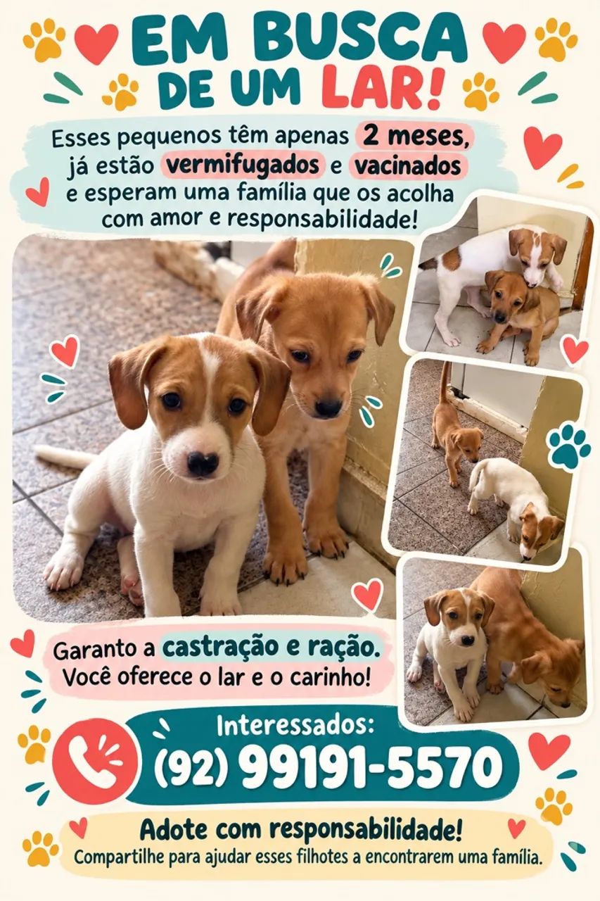 Adoção responsável 