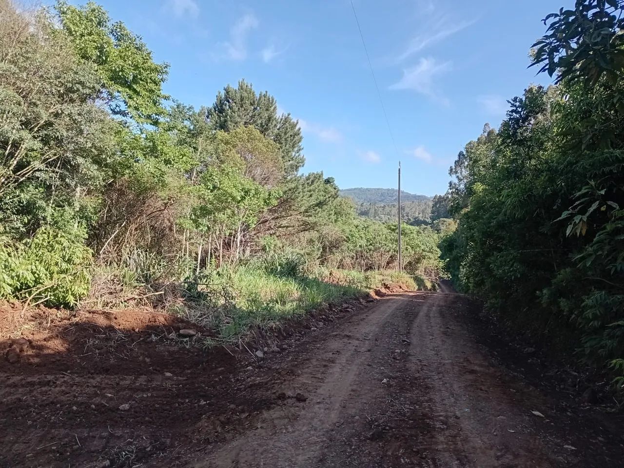 Lote  - Foto 2
