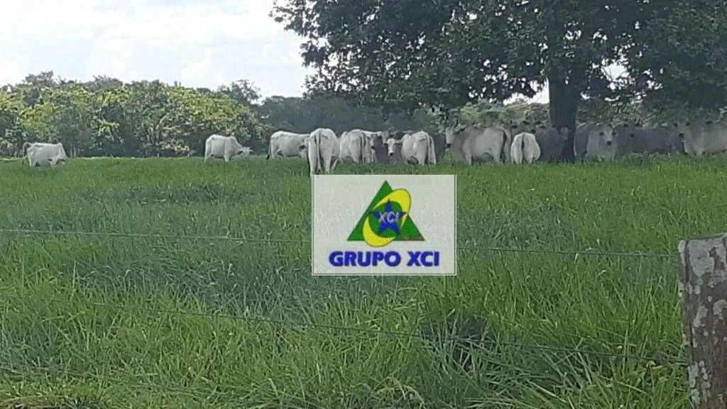 fazenda em Cocalinho - Foto 5