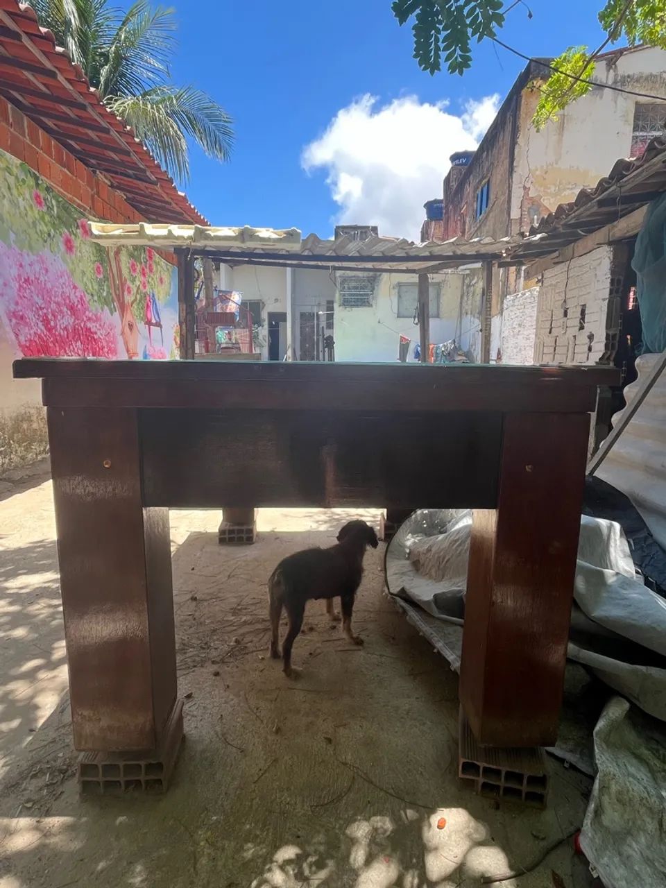 Sinuca  - Foto 4