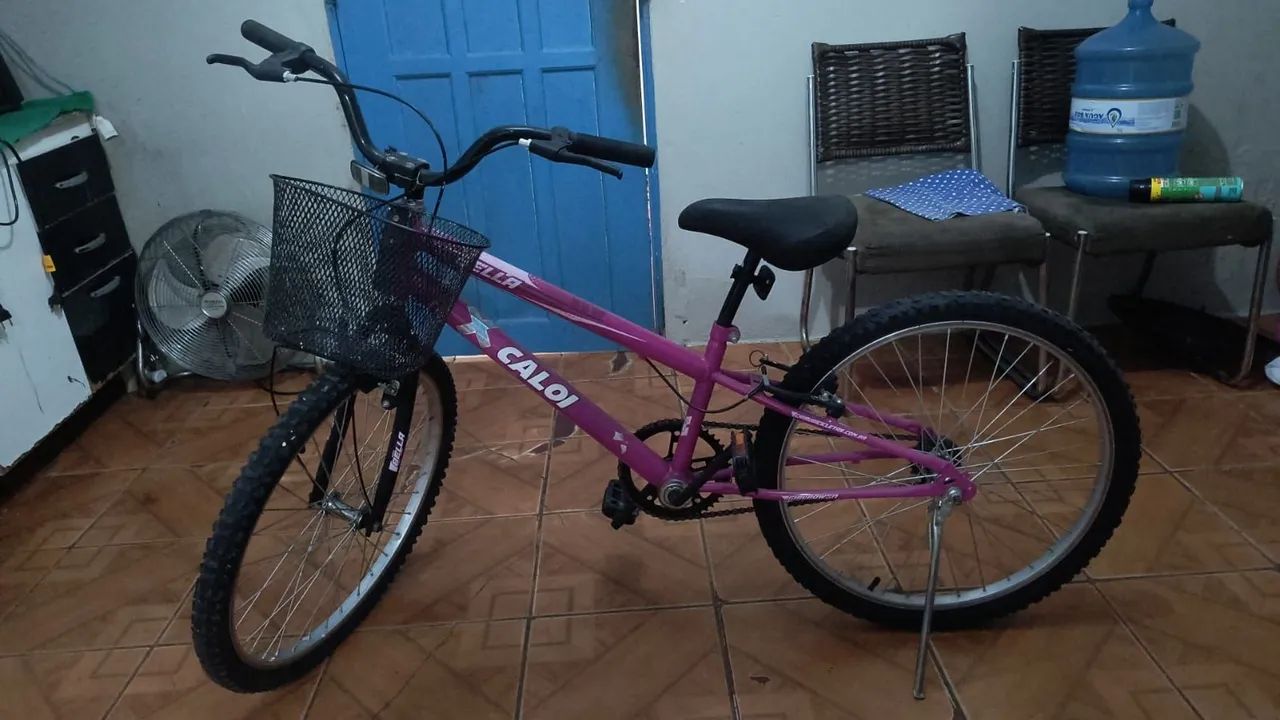 Bicicleta Feminina Infantil 