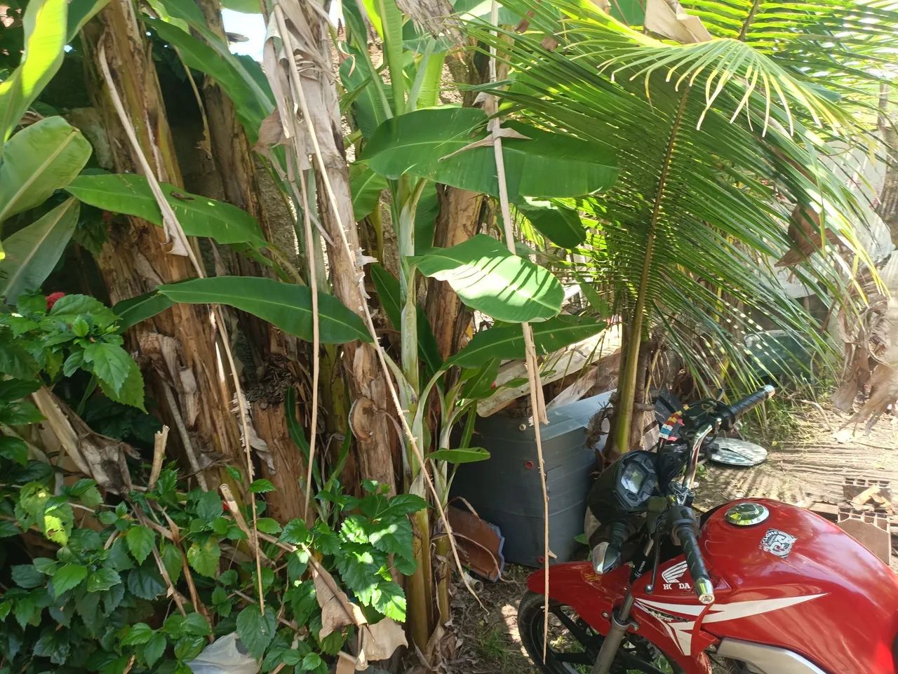 Casa - Foto 4