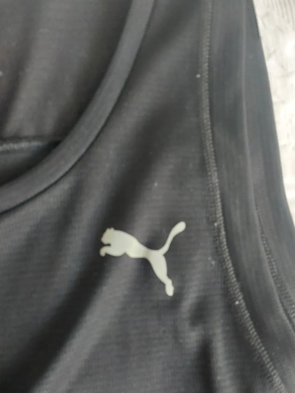 Regata Puma 