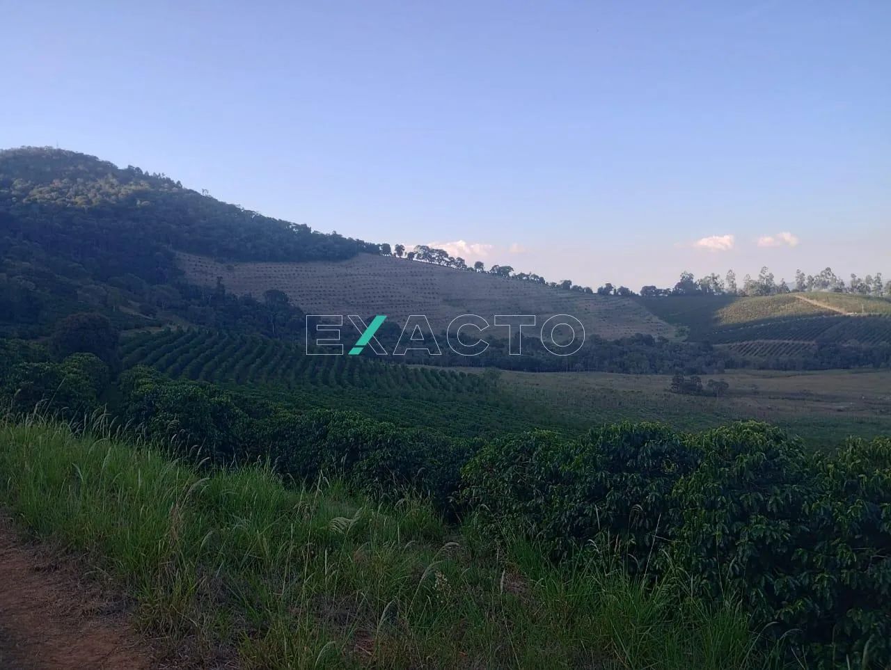 fazenda - Centro - Cambuquira