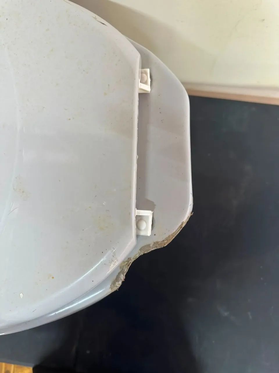 Vaso sanitário e assento com tampa - Foto 2