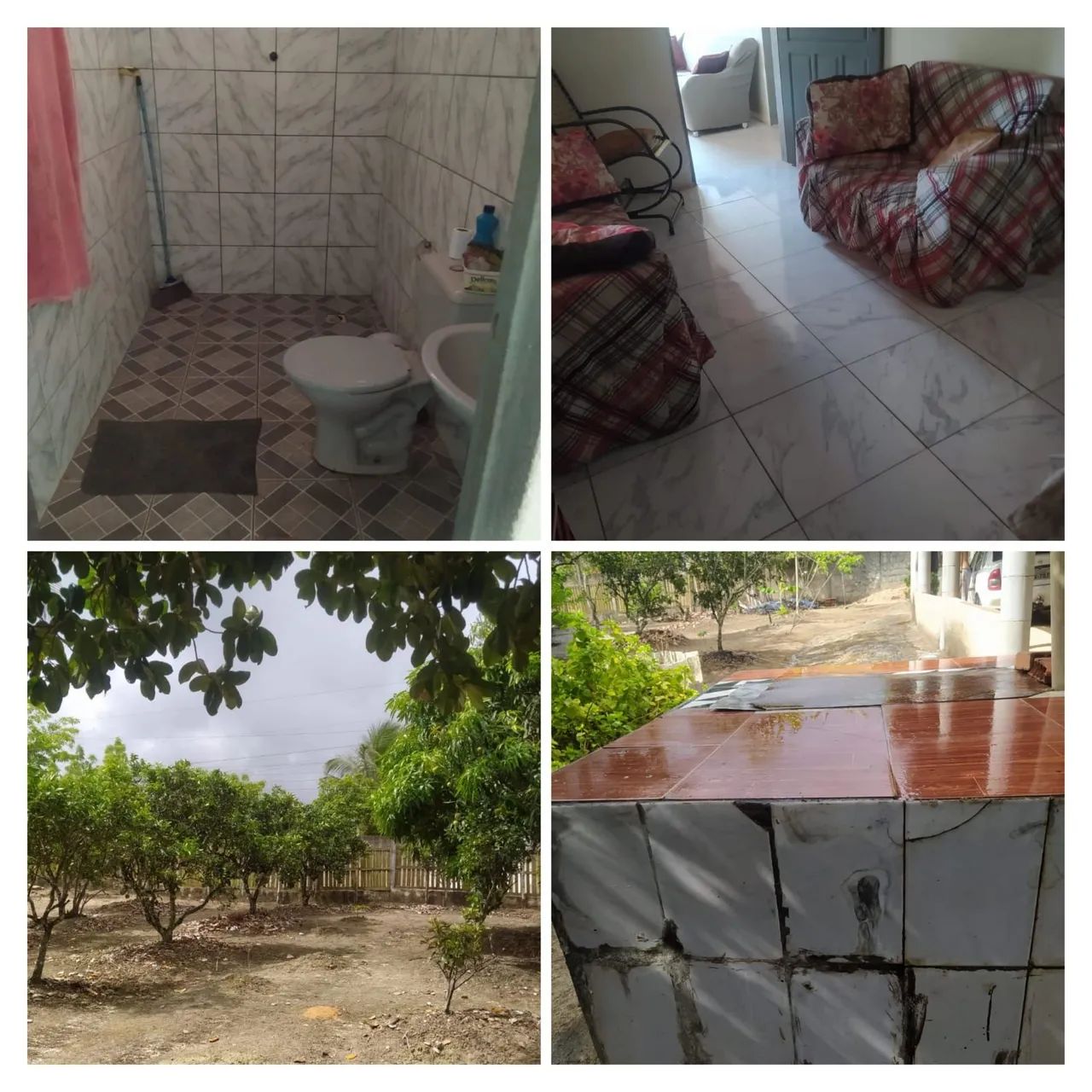 Sítio em salgado - Foto 4