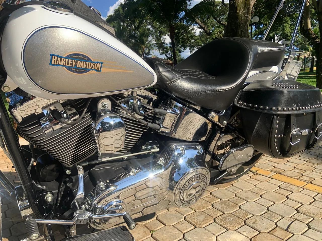 Harley-Davidson Softail Classic Flstc 2008 - 1491972722 | OLX