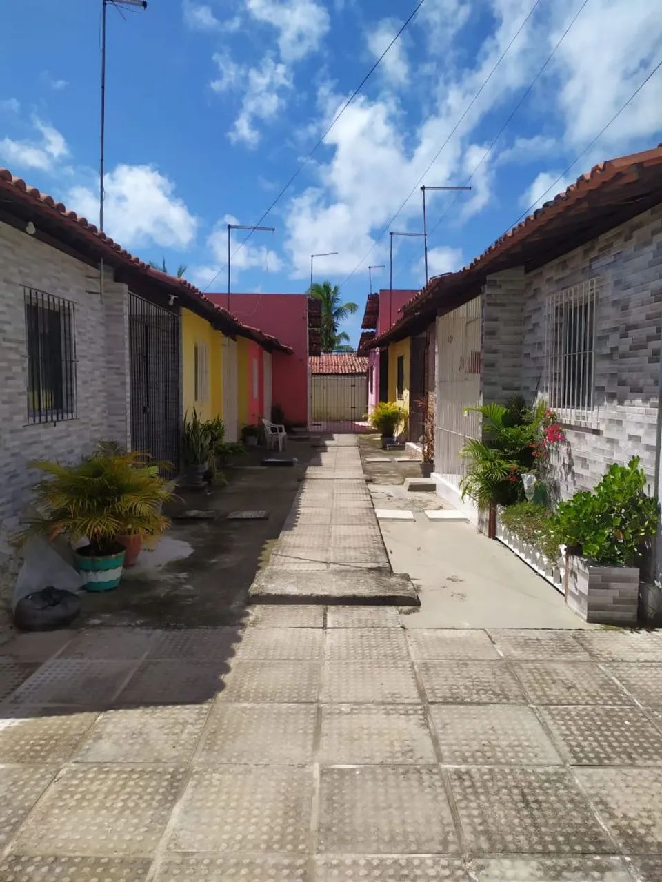Foto - Ilha de Itamaracá - 