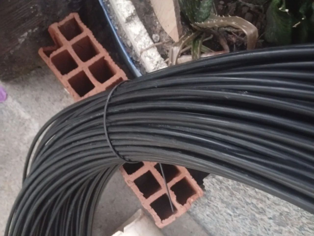 Fibra12fo  - Foto 3