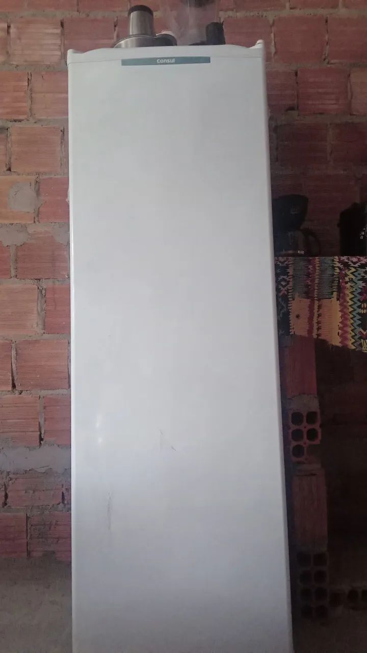 Frizer vertical 
