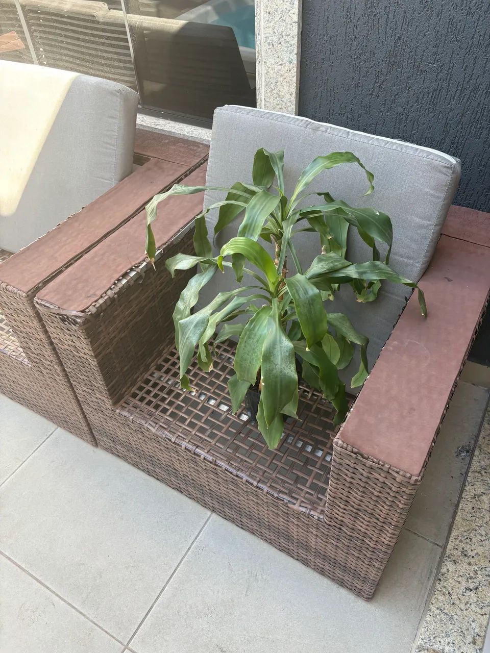 Poltrona de jardim