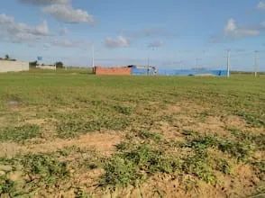 Lote/Terreno no Residencial " Cidade Jardim ll " . - Foto 2