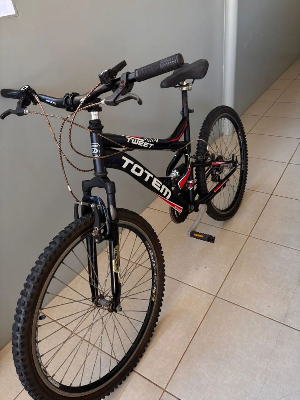 Bicicleta Totem