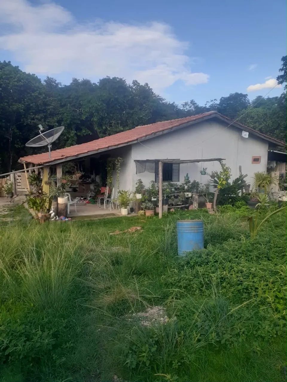 Chácara faina - Foto 2